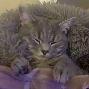 Meet your Posher, Ellie